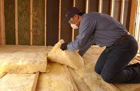 Best Basement Insulation  in Waynesboro, VA