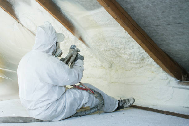 Best Eco-Friendly Insulation Solutions  in Waynesboro, VA