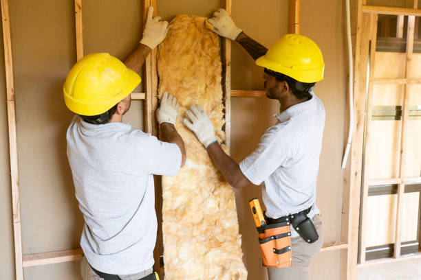 Professional Insulation Services in Waynesboro, VA